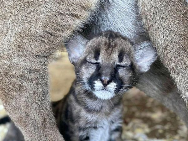 Állatkertünk Október 23-án is NYITVA tart!